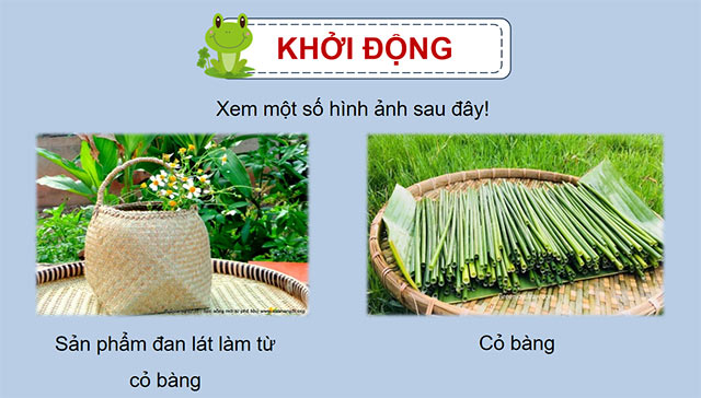 PowerPoint Đọc: Từ những cánh đồng xanh