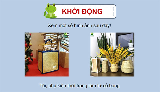 PowerPoint Đọc: Từ những cánh đồng xanh