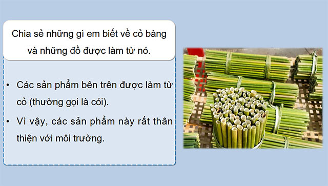 PowerPoint Đọc: Từ những cánh đồng xanh