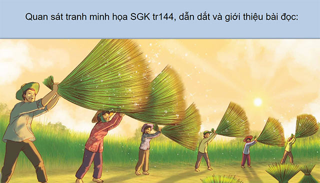 PowerPoint Đọc: Từ những cánh đồng xanh