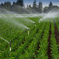 PowerPoint Công nghệ 8 Bài 20: Dự án: Thiết kế hệ thống tưới cây tự động