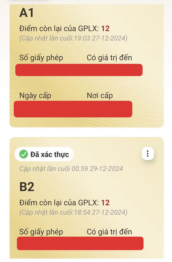 Điểm giấy phép lái xe là gì?