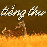 PowerPoint Ngữ văn 12 Bài 1: Tiếng thu