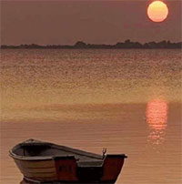 PowerPoint Ngữ văn 12 Bài 1: Tràng giang