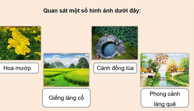 PowerPoint Ôn tập cuối học kì I (Tiết 1)