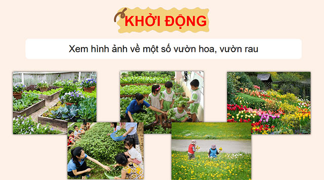 PowerPoint Ôn tập cuối học kì I (Tiết 2)