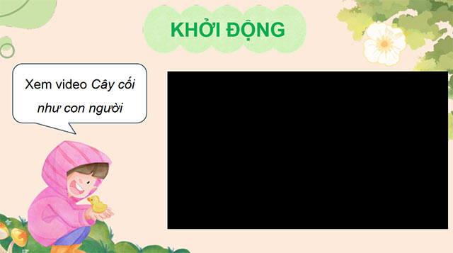 PowerPoint Ôn tập cuối học kì I (Tiết 4)