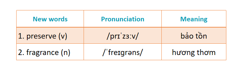 giáo án tiếng anh