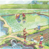 Hạt gạo làng ta lớp 5 Kết nối tri thức trang 17, 18