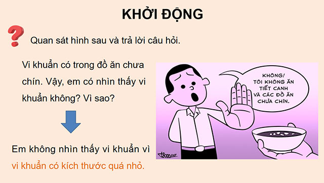PowerPoint Vi khuẩn và vi khuẩn gây bệnh ở người