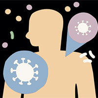 PowerPoint Khoa học 5 Bài 12: Vi khuẩn và vi khuẩn gây bệnh ở người