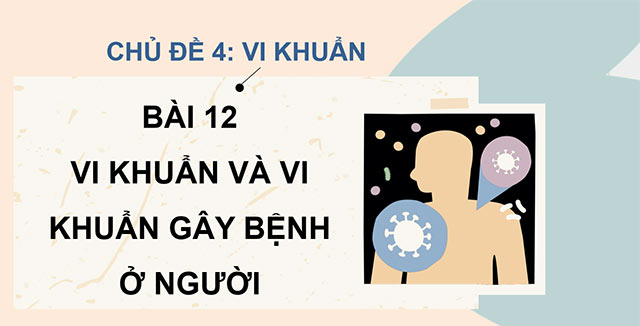 PowerPoint Vi khuẩn và vi khuẩn gây bệnh ở người