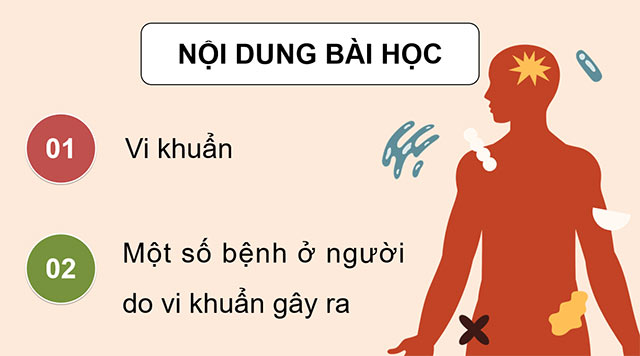 PowerPoint Vi khuẩn và vi khuẩn gây bệnh ở người