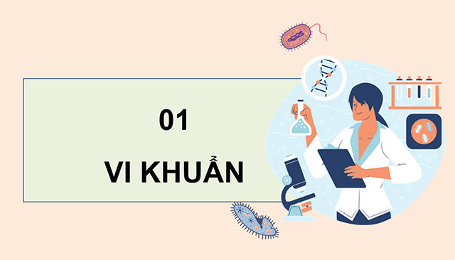 PowerPoint Vi khuẩn và vi khuẩn gây bệnh ở người