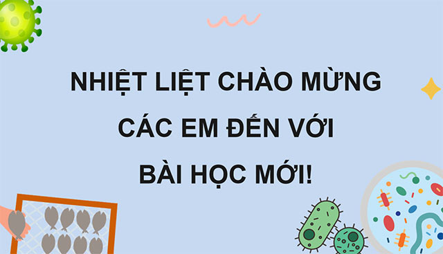 PowerPoint Vi khuẩn có ích trong chế biến thực phẩm