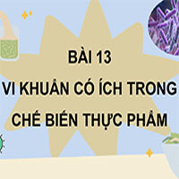 PowerPoint Khoa học 5 Bài 13: Vi khuẩn có ích trong chế biến thực phẩm