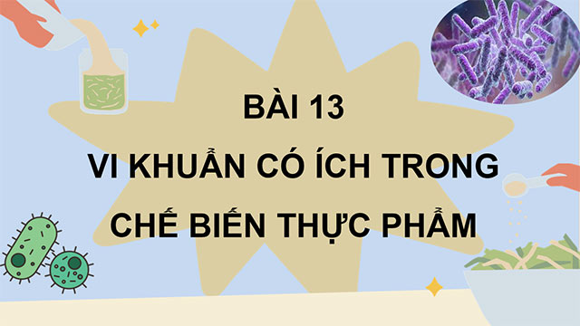 PowerPoint Vi khuẩn có ích trong chế biến thực phẩm