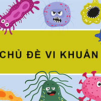 PowerPoint Khoa học 5 Ôn tập chủ đề Vi khuẩn