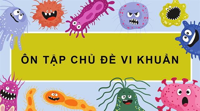 PowerPoint Ôn tập chủ đề Vi khuẩn
