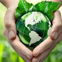 PowerPoint Tiếng Việt 5: Thảo luận theo chủ đề Vì môi trường xanh