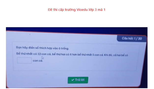Đề thi VioEdu lớp 3 cấp trường