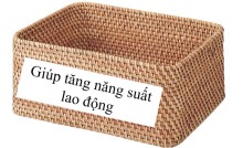 PPT Công nghệ 5 Bài 1: Vai trò của Công nghệ