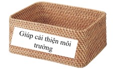 PPT Công nghệ 5 Bài 1: Vai trò của Công nghệ