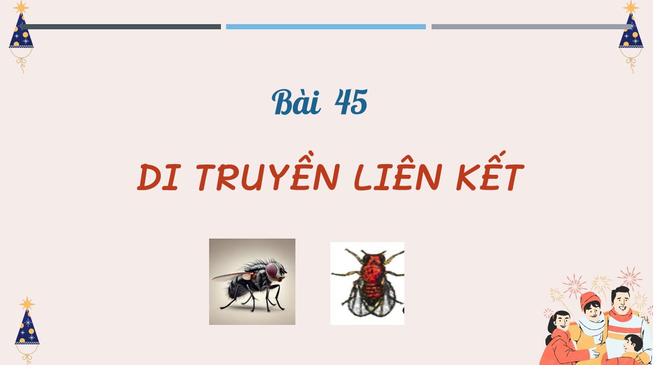 Bài giảng PowerPoint KHTN 9 Kết nối tri thức Bài 45