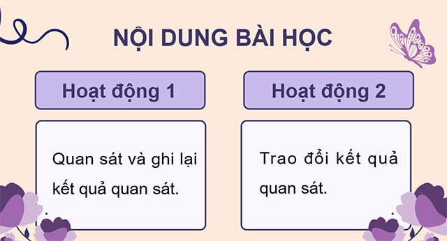 PowerPoint Luyện tập tả phong cảnh (Thực hành quan sát)