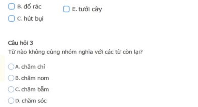 Đề thi Trạng nguyên Tiếng Việt Lớp 2 cấp Huyện năm 2024-2025