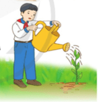 Đóng vai phóng viên để phỏng vấn các bạn nhỏ tham gia trồng cây