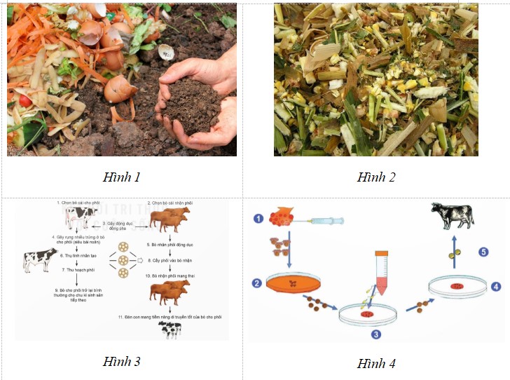 Giáo án chuyên đề 1 Công nghệ 12 KNTT