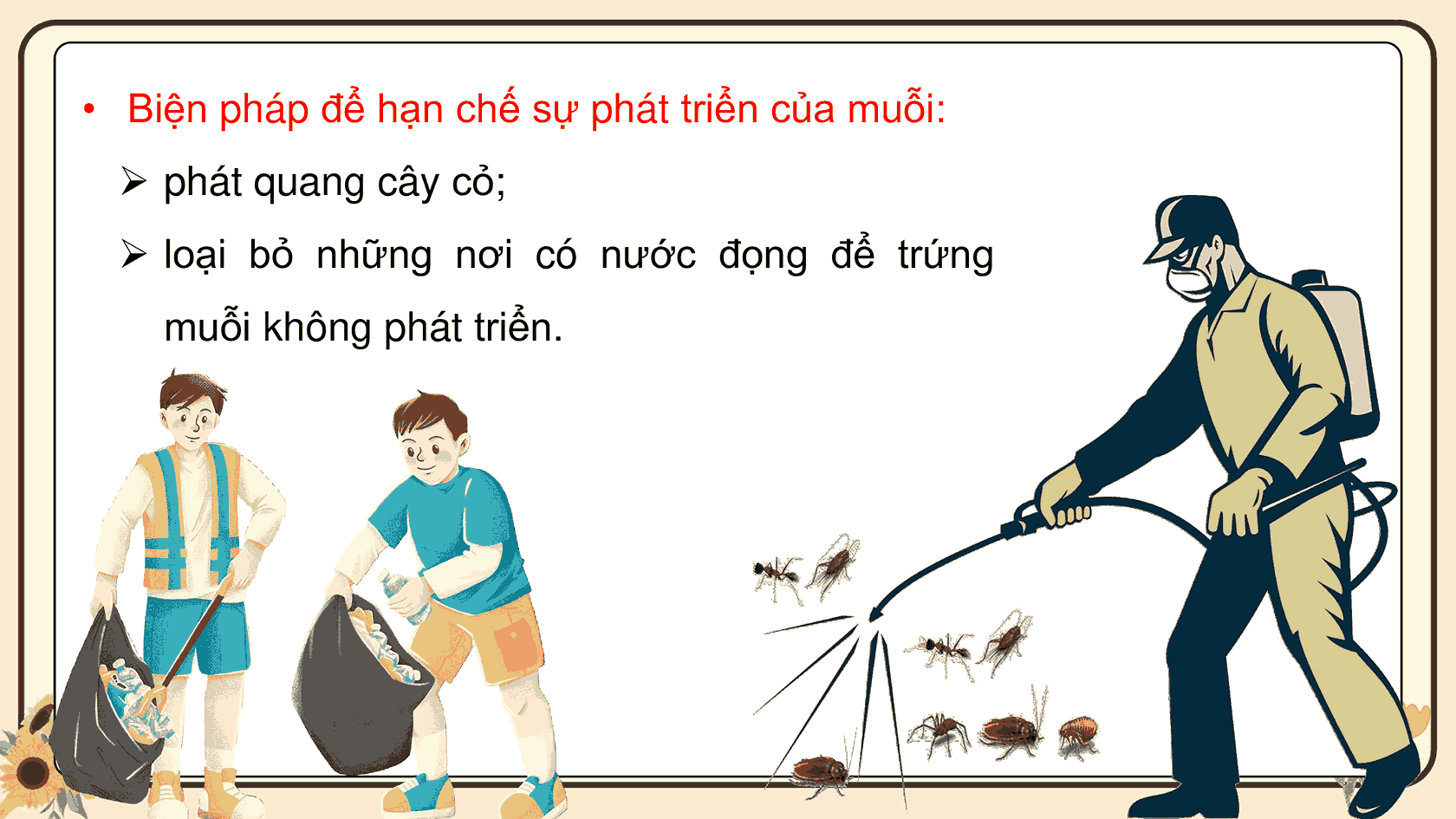 Khoa học 5: Ôn tập chủ đề Thực vật và động vật