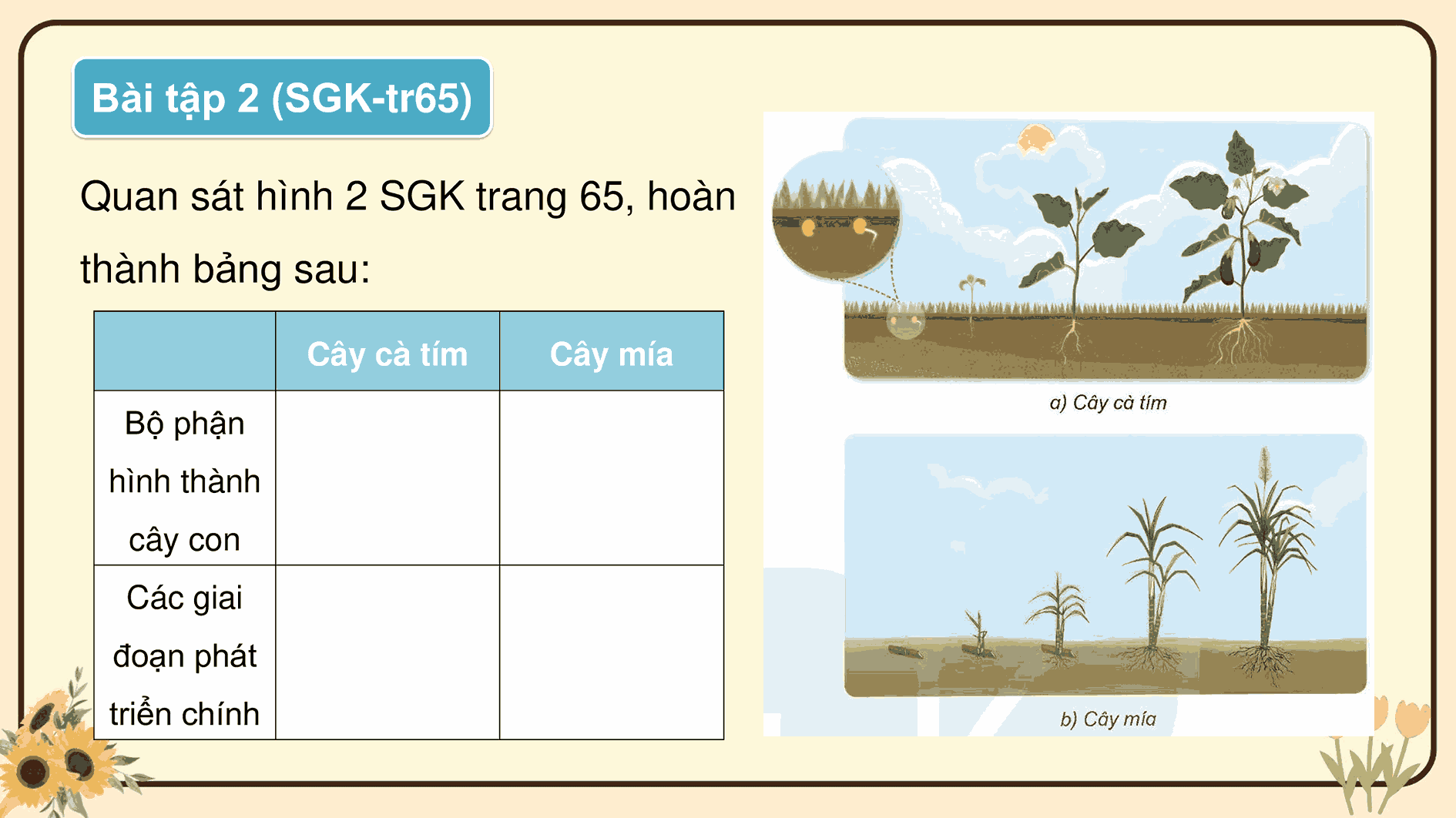 Khoa học 5: Ôn tập chủ đề Thực vật và động vật