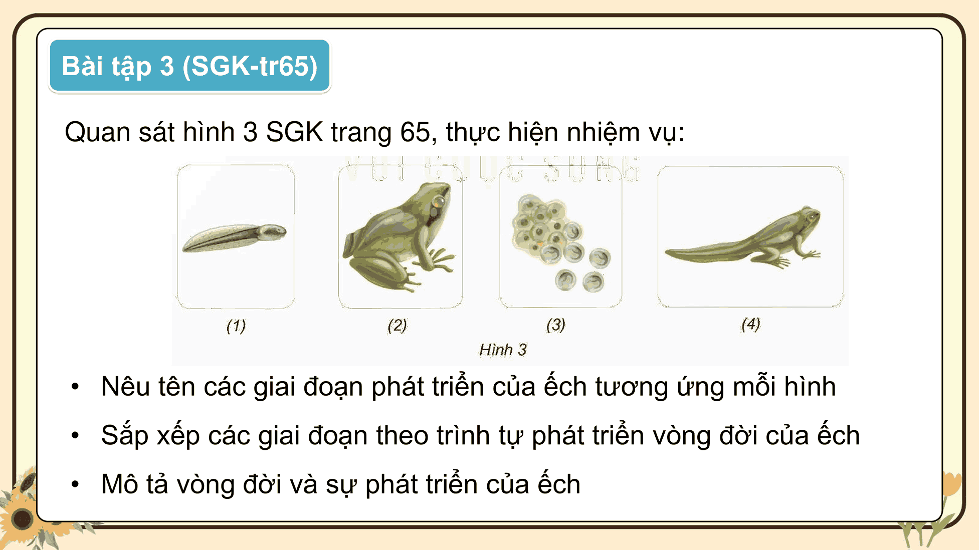 Khoa học 5: Ôn tập chủ đề Thực vật và động vật