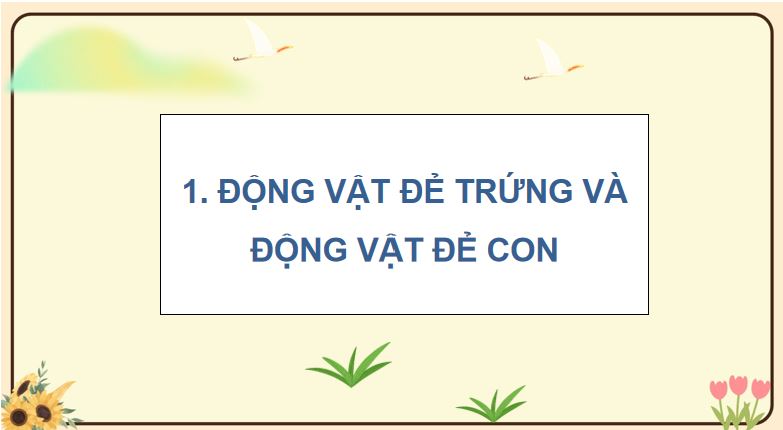 PowerPoint Khoa học 5: Sinh sản của động vật