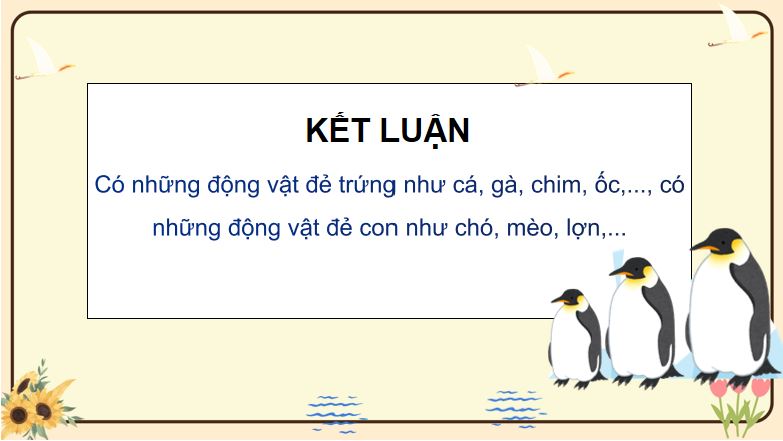 PowerPoint Khoa học 5: Sinh sản của động vật
