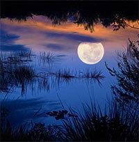 PowerPoint Ngữ Văn 12 Bài 6: Nguyên Tiêu