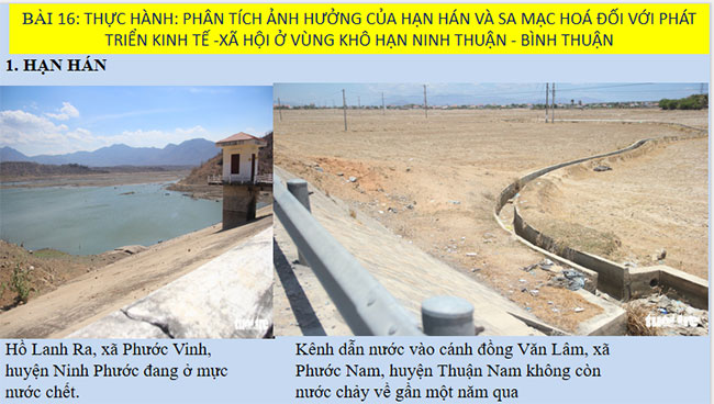 Giáo án Địa lí 9 Bài 16