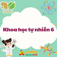 Bài tập KHTN 6 Chương 2 chất và sự biến đổi của chất