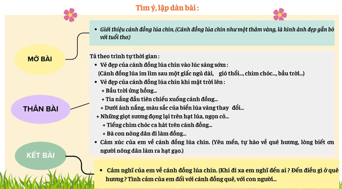 Dàn ý tả cánh đồng lúa chín 