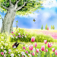 Nêu cảm nghĩ của em về rừng xuân được tả trong bài