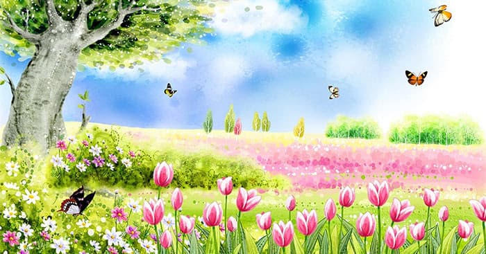 Nêu cảm nghĩ của em về rừng xuân được tả trong bài