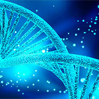 PowerPoint Khoa học tự nhiên 9 Bài 36: Các quy luật di truyền của Mendel