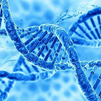 PowerPoint Khoa học tự nhiên 9 Bài 37: Nucleic acid và ứng dụng