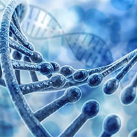 PowerPoint Khoa học tự nhiên 9 Bài 38: Đột biến gene