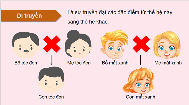 PowerPoint KHTN 9 Bài 35 CTST