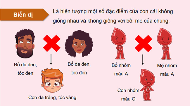 PowerPoint KHTN 9 Bài 35 CTST