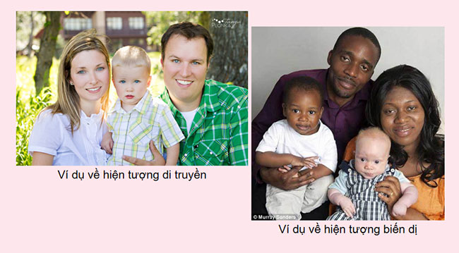 PowerPoint KHTN 9 Bài 35 CTST