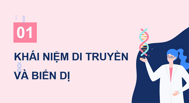 PowerPoint KHTN 9 Bài 35 CTST